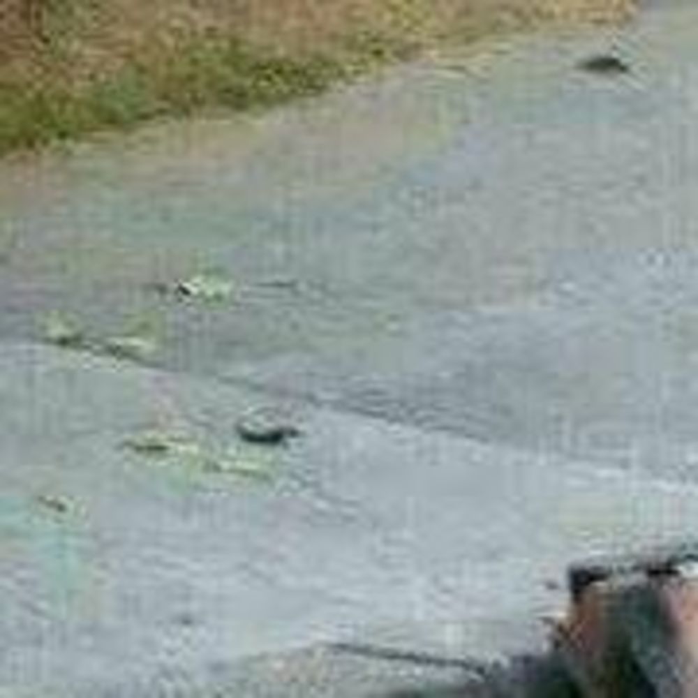 Meet your Posher, Joao